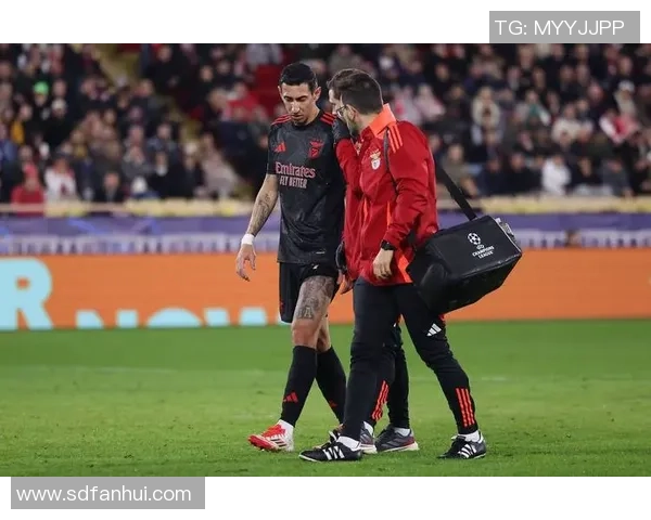 欧冠激战本菲卡与曼联战成平局乌龙球引发全场热议与转会传闻