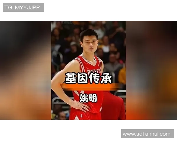 姚明五四精神的传承与启示：青春力量与奋斗精神的完美结合