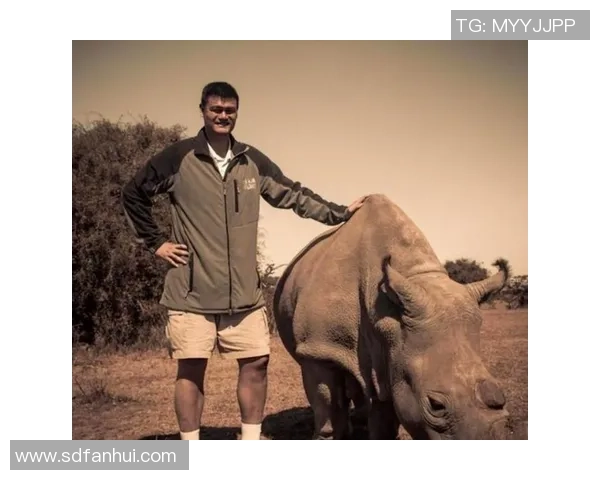 姚明在国际篮球舞台上的统治力与成就分析