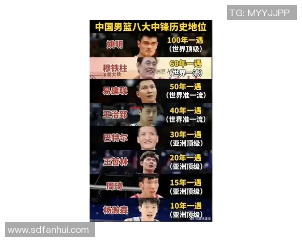 姚明传奇：从篮球场到人生舞台的辉煌历程与不屈精神