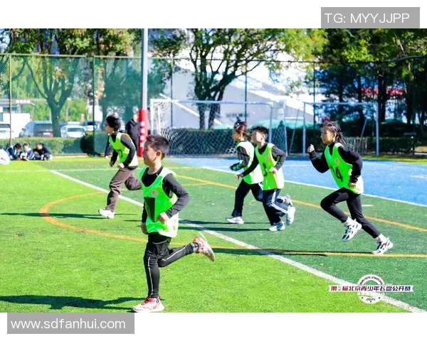 赛后分析：北京飞盘队与深圳飞盘队实力对比与比赛亮点回顾